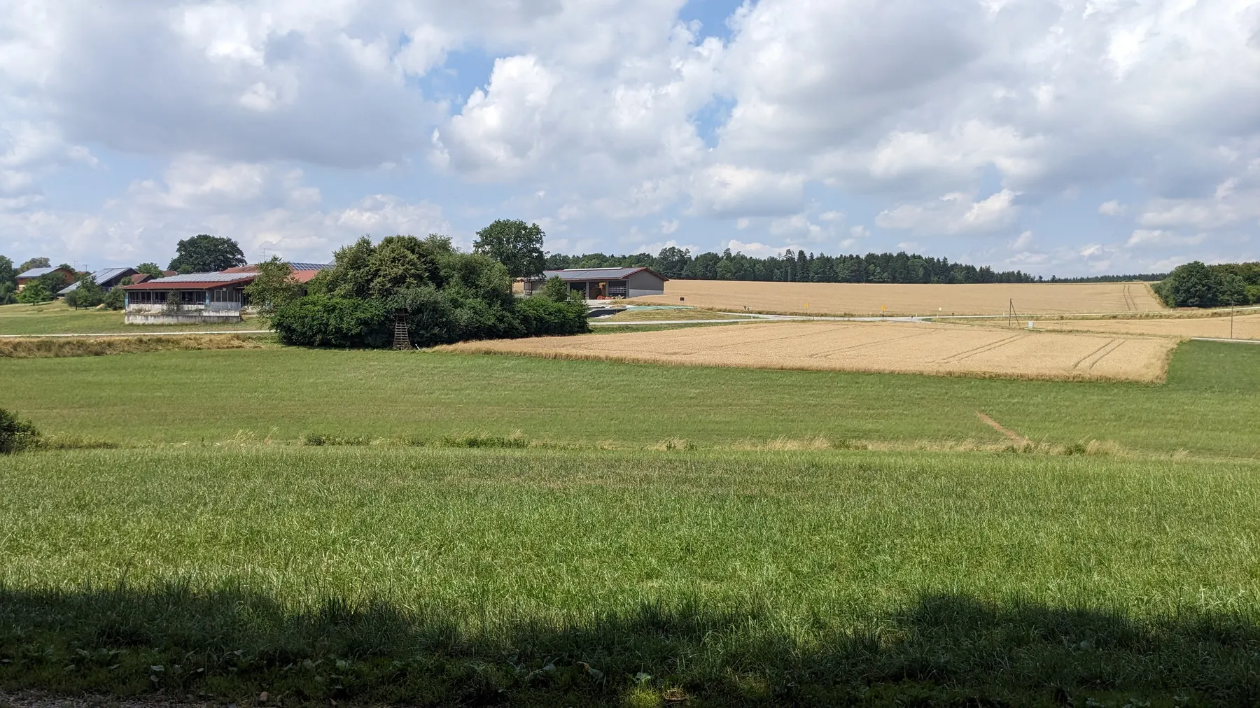 Sommer über Oberbubach