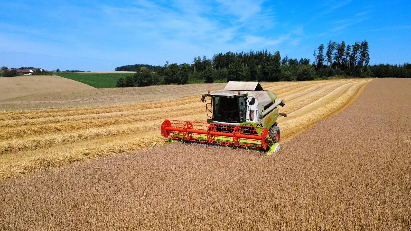 Mähdrescher in Aktion